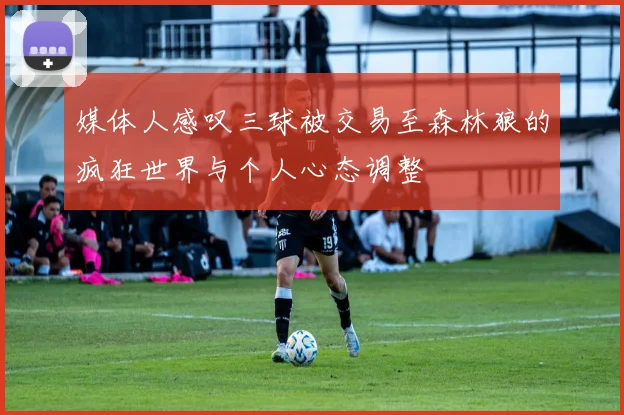 媒体人感叹三球被交易至森林狼的疯狂世界与个人心态调整